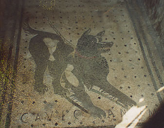 The "Cave Canum" Mosaic