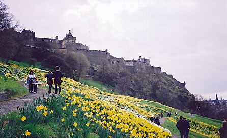 Castle in the Spring (Photo: TAP Steve)