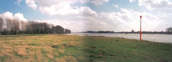 The Rhein, panoramic