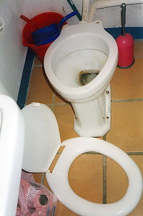 Ylva's tiny busted toilet